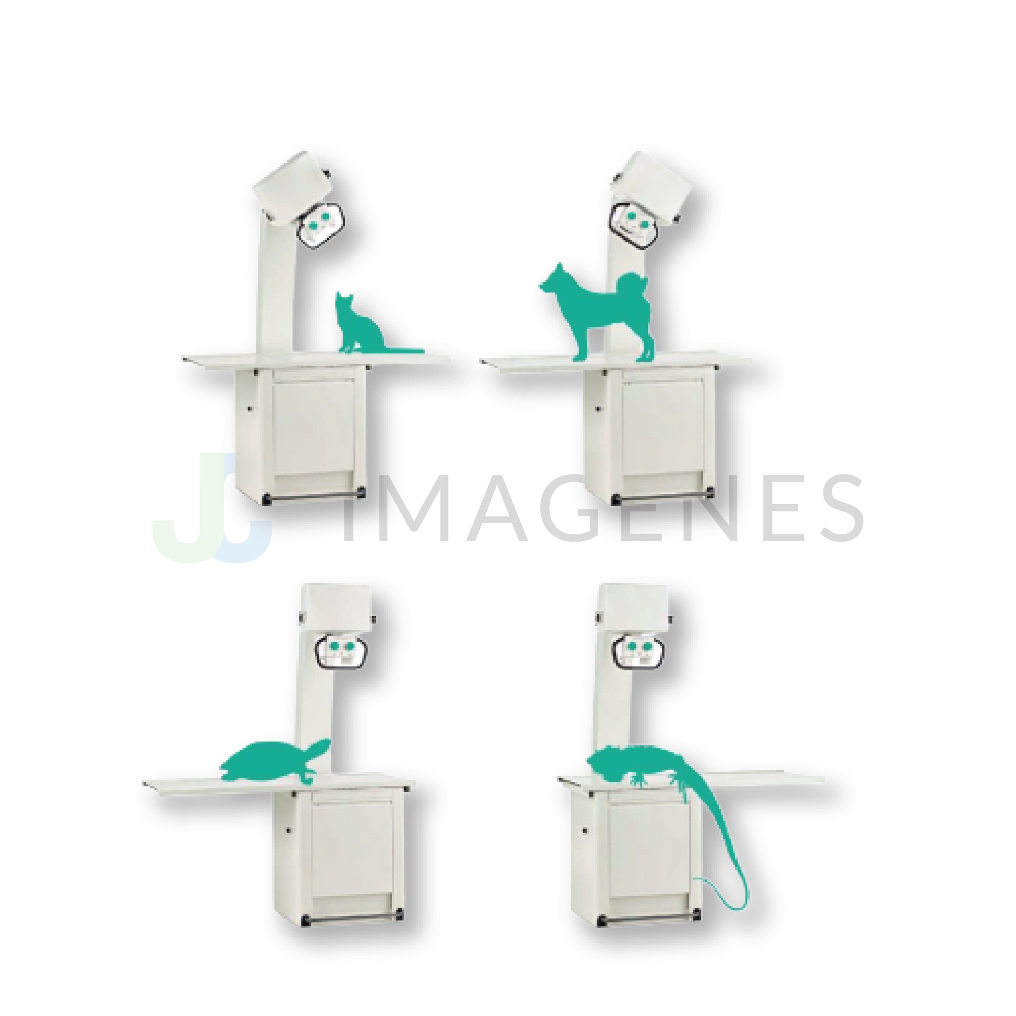 VET32 DR BMI - Imagen 3